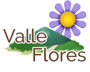 Logo Valle de las Flores Residencial
